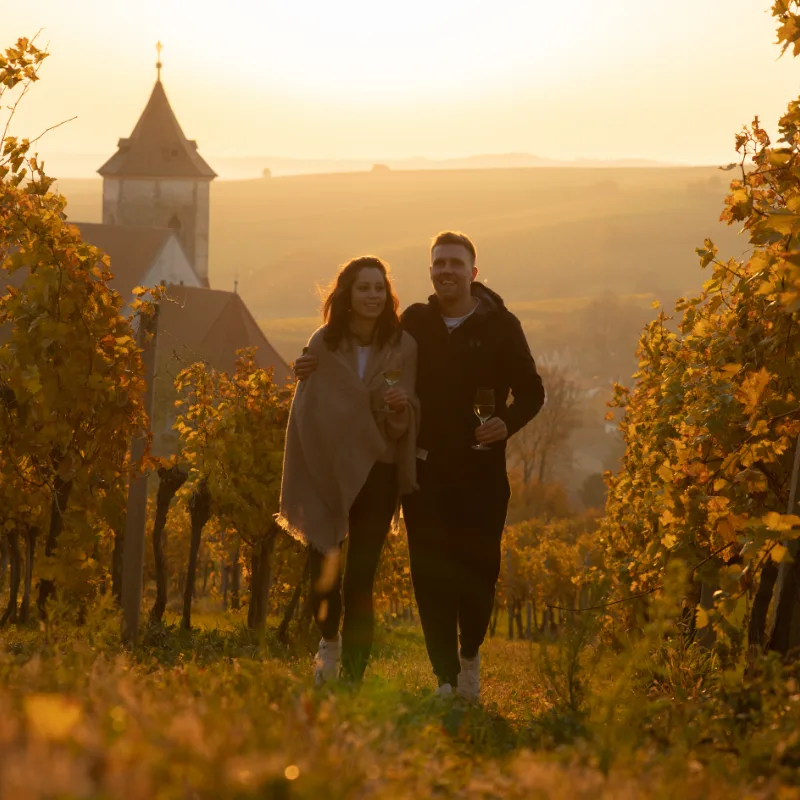 Weinviertler Wohlfühlnächte